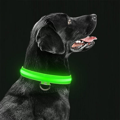 Lichtgevende Halsband - Val op in het donker