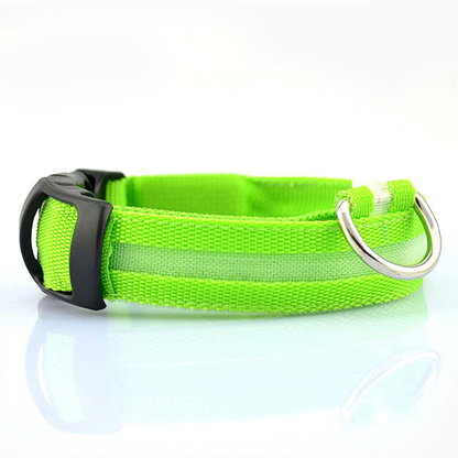 Lichtgevende Halsband - Val op in het donker