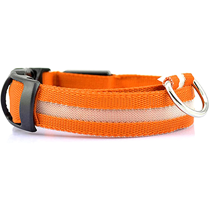 Lichtgevende Halsband - Val op in het donker