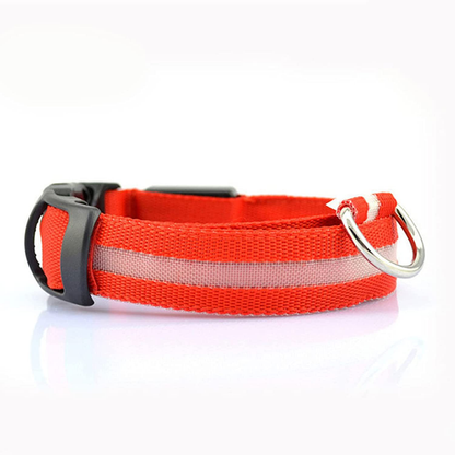 Lichtgevende Halsband - Val op in het donker