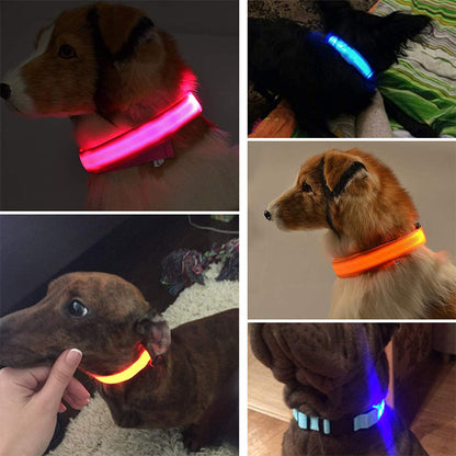 Lichtgevende Halsband - Val op in het donker