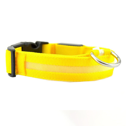 Lichtgevende Halsband - Val op in het donker